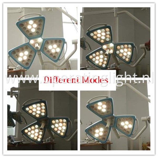 Four model petal surgery light